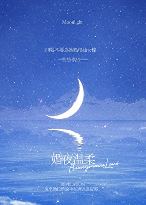 婚夜温柔最新章节列表,婚夜温柔全文阅读